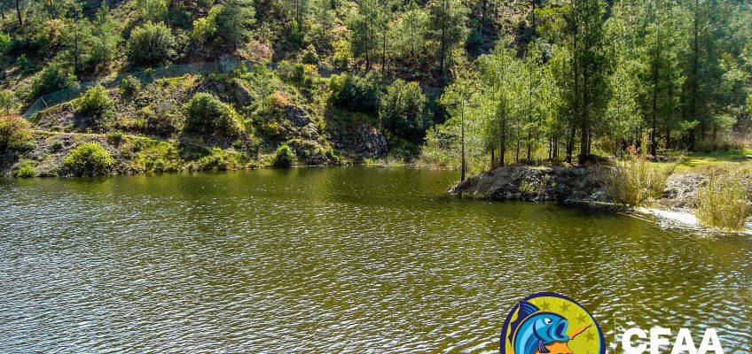 Ημέρα Οικογένειας – 25/06/2023